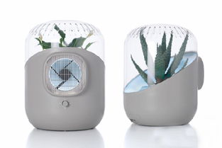 室內(nèi)空氣植物過濾器 自然凈化，健康呼吸新選擇